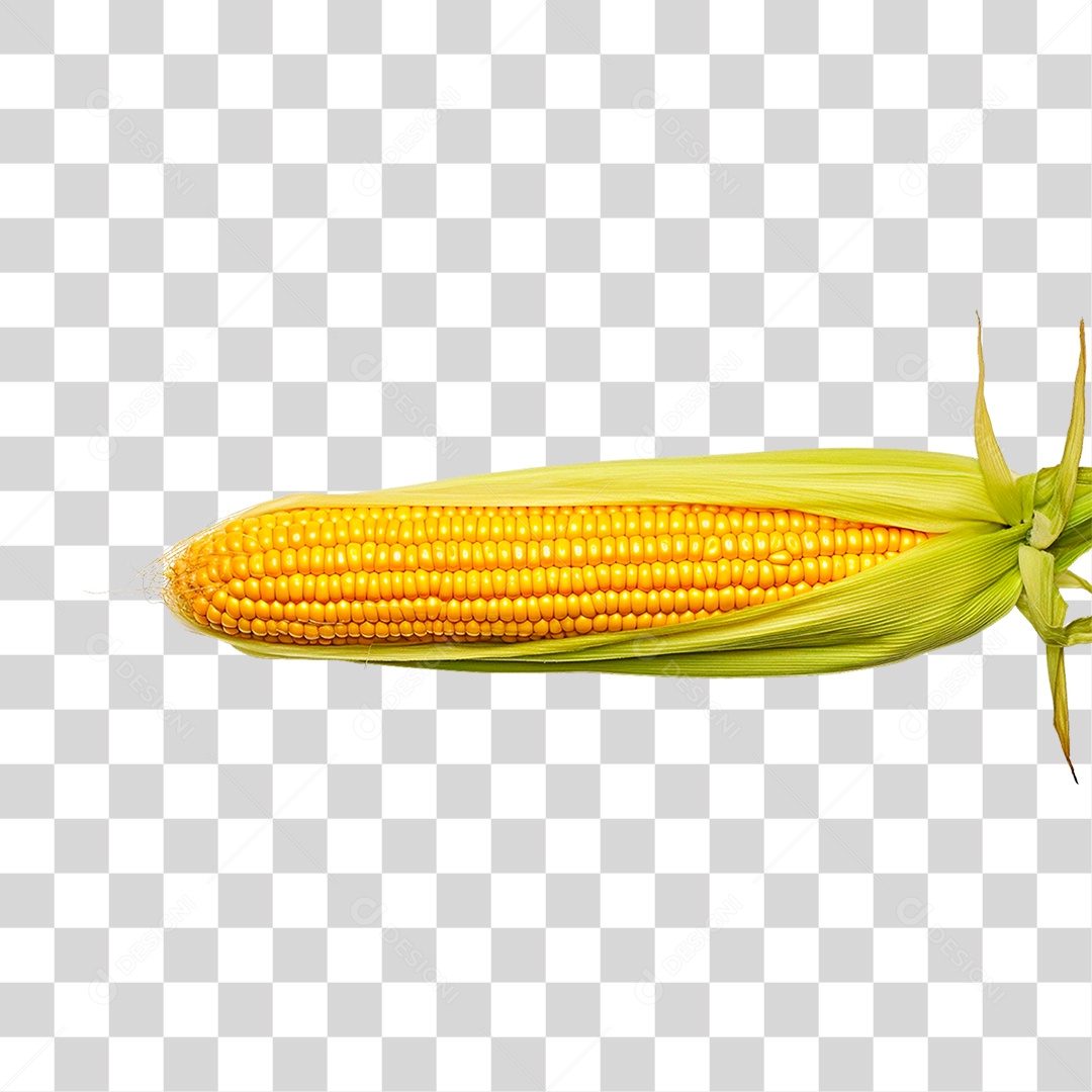 Espiga de Milho PNG Transparente