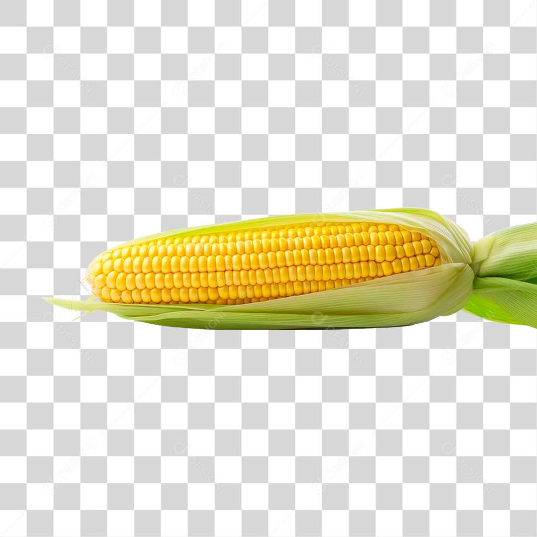 Espiga de Milho PNG Transparente