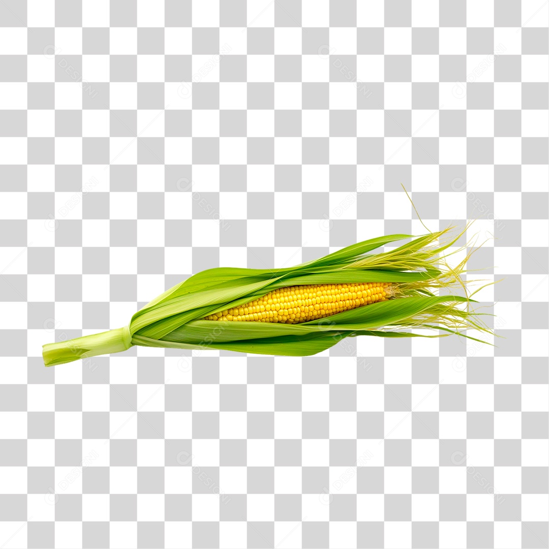 Espiga de Milho PNG Transparente
