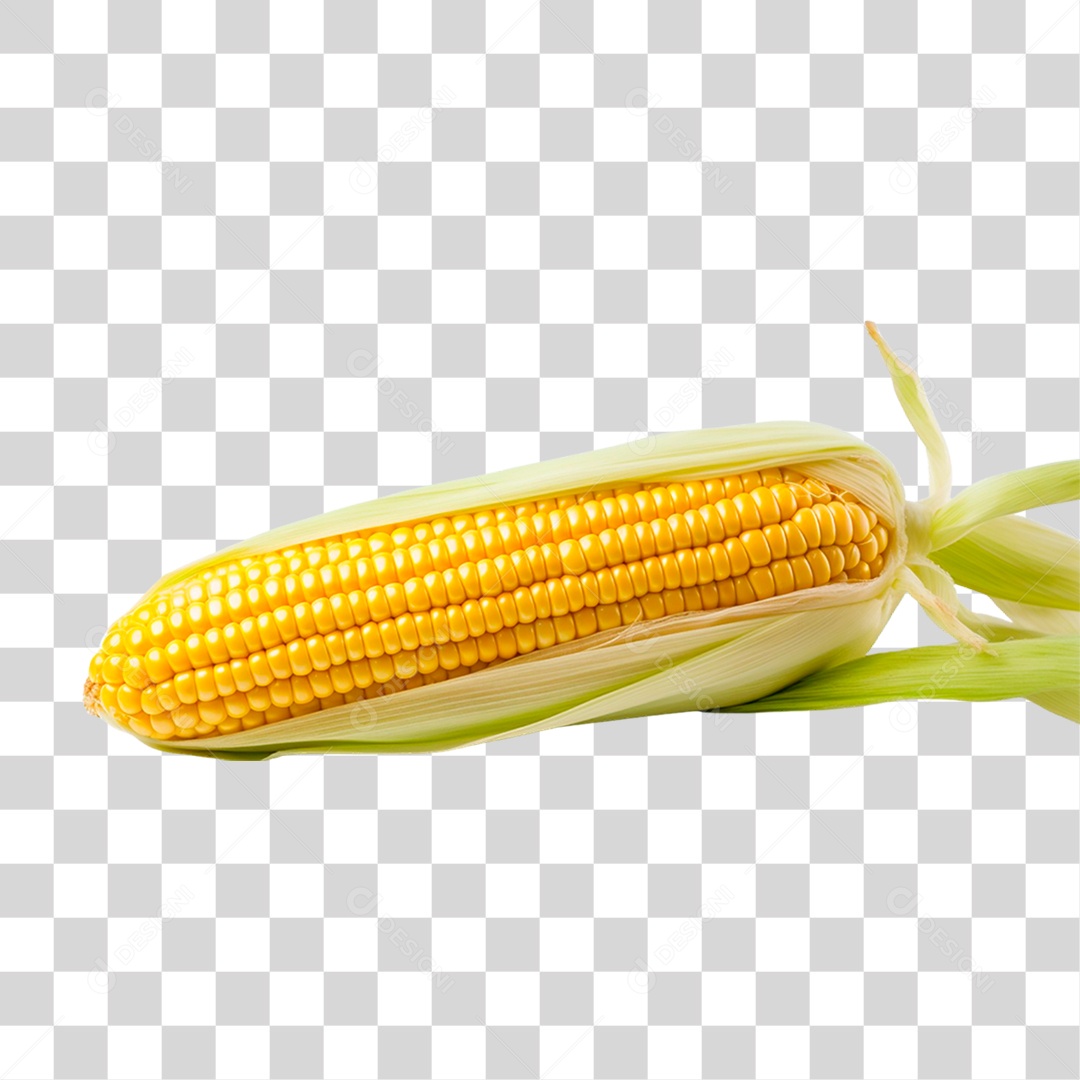 Espiga de Milho PNG Transparente