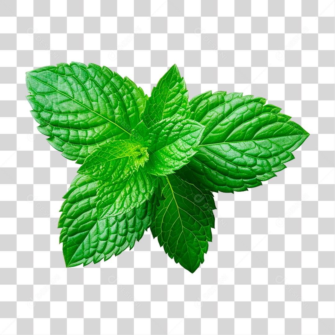 Folhas de Hortelã PNG Transparente