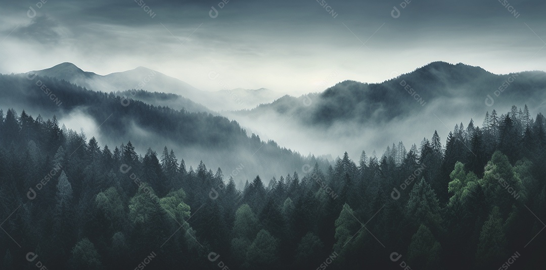 Bela floresta com névoa nublada ao redor das árvores