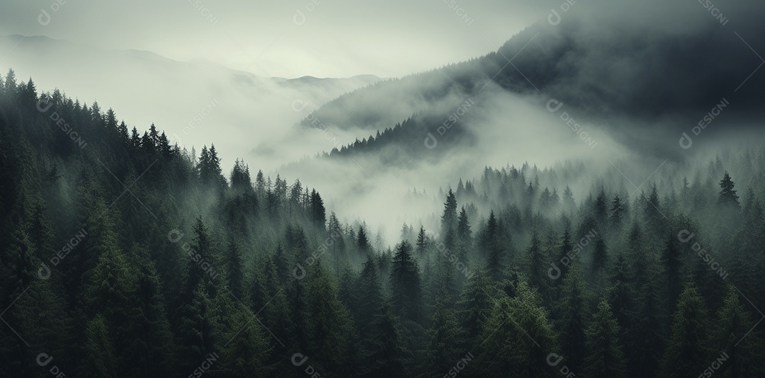 Bela floresta com névoa nublada ao redor das árvores