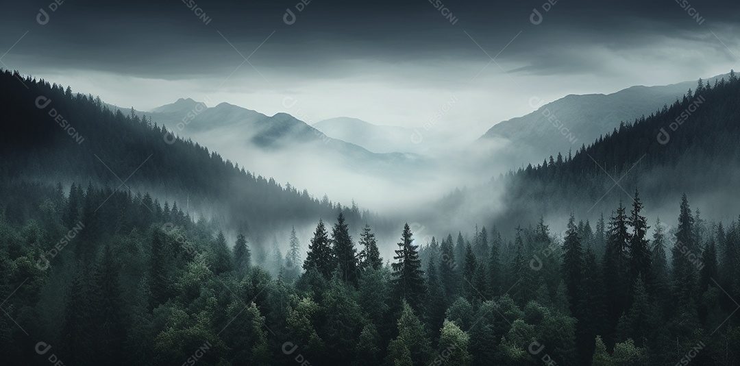 Bela floresta com névoa nublada ao redor das árvores