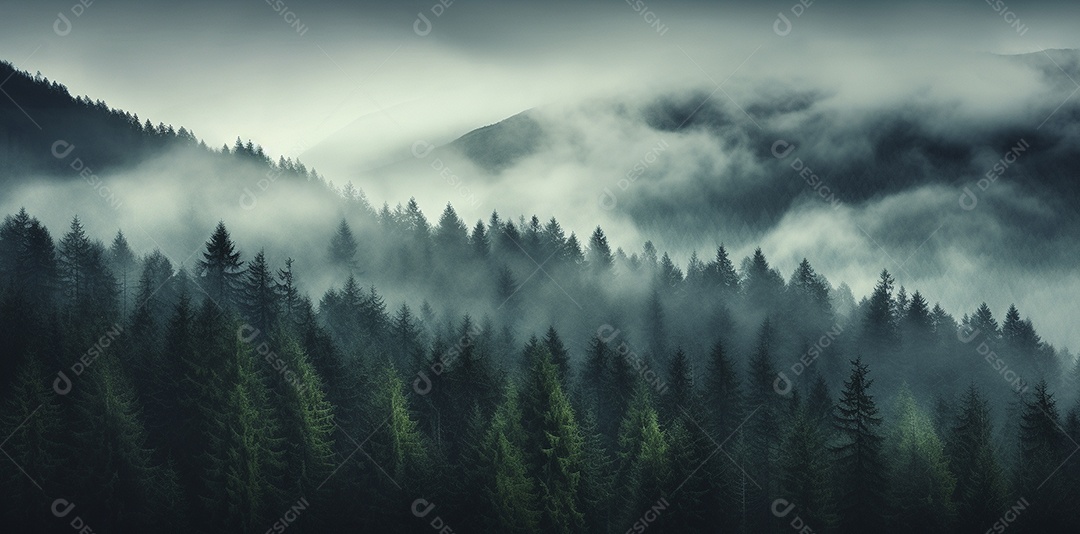 Bela floresta com névoa nublada ao redor das árvores