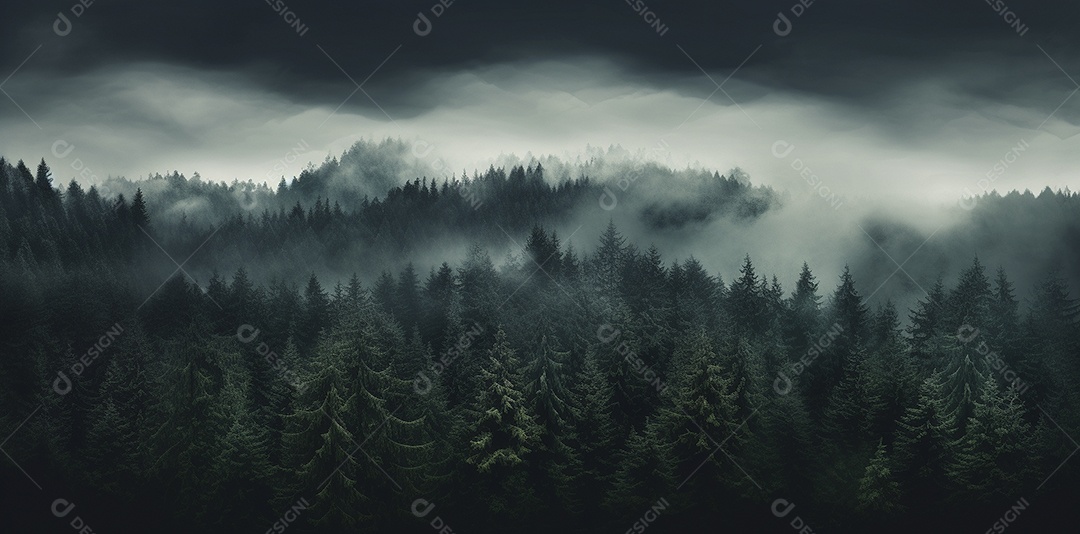 Bela floresta com névoa nublada ao redor das árvores