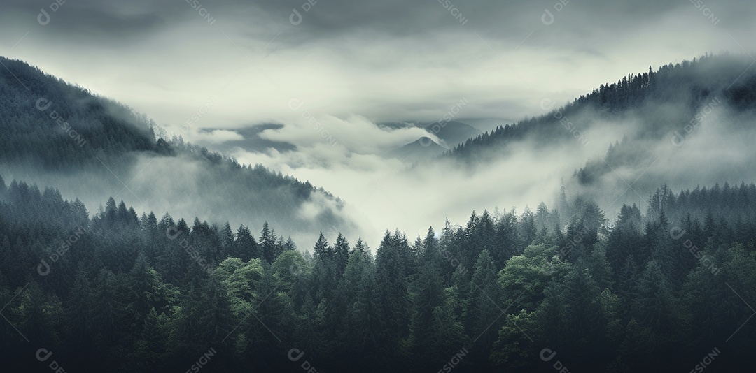 Bela floresta com névoa nublada ao redor das árvores