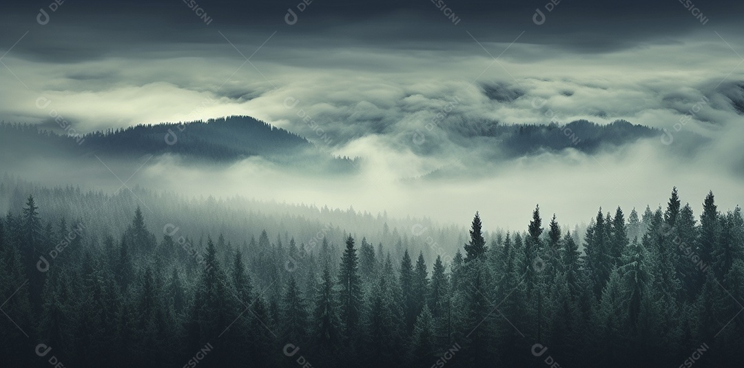 Bela floresta com névoa nublada ao redor das árvores