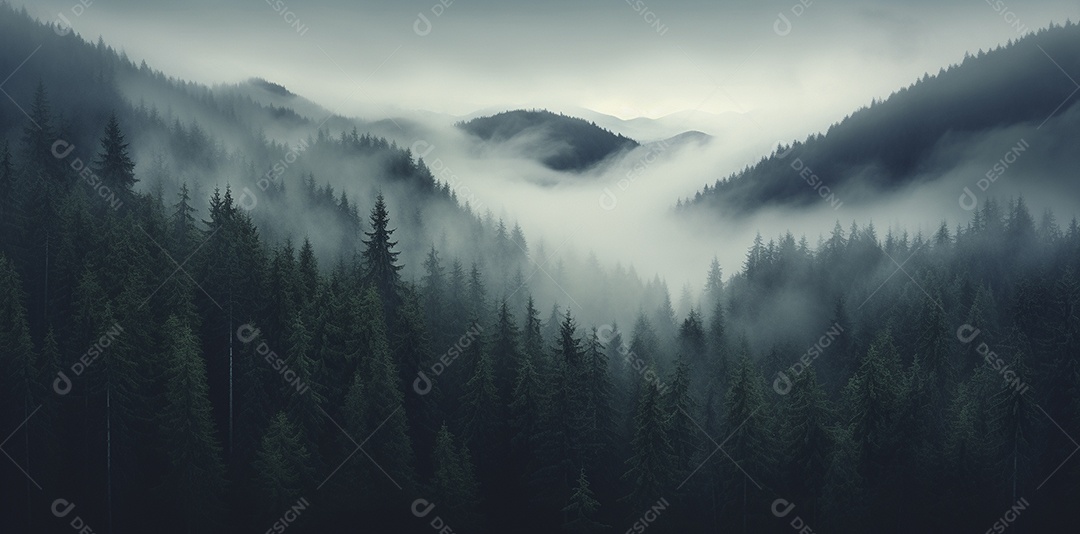 Bela floresta com névoa nublada ao redor das árvores