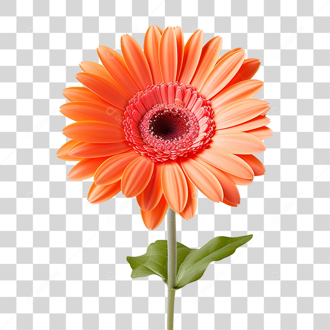 Flor Amarela PNG Transparente