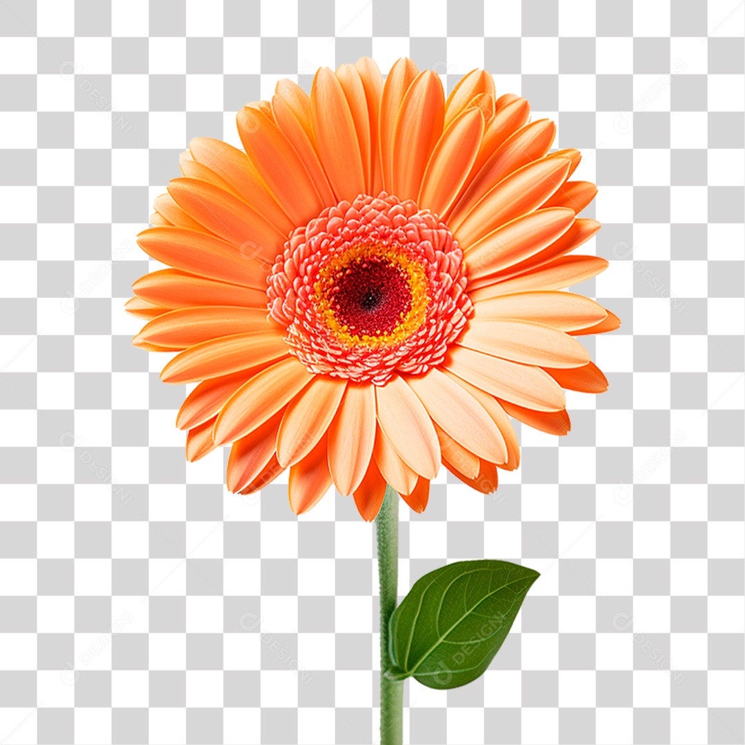 Flor Amarela PNG Transparente