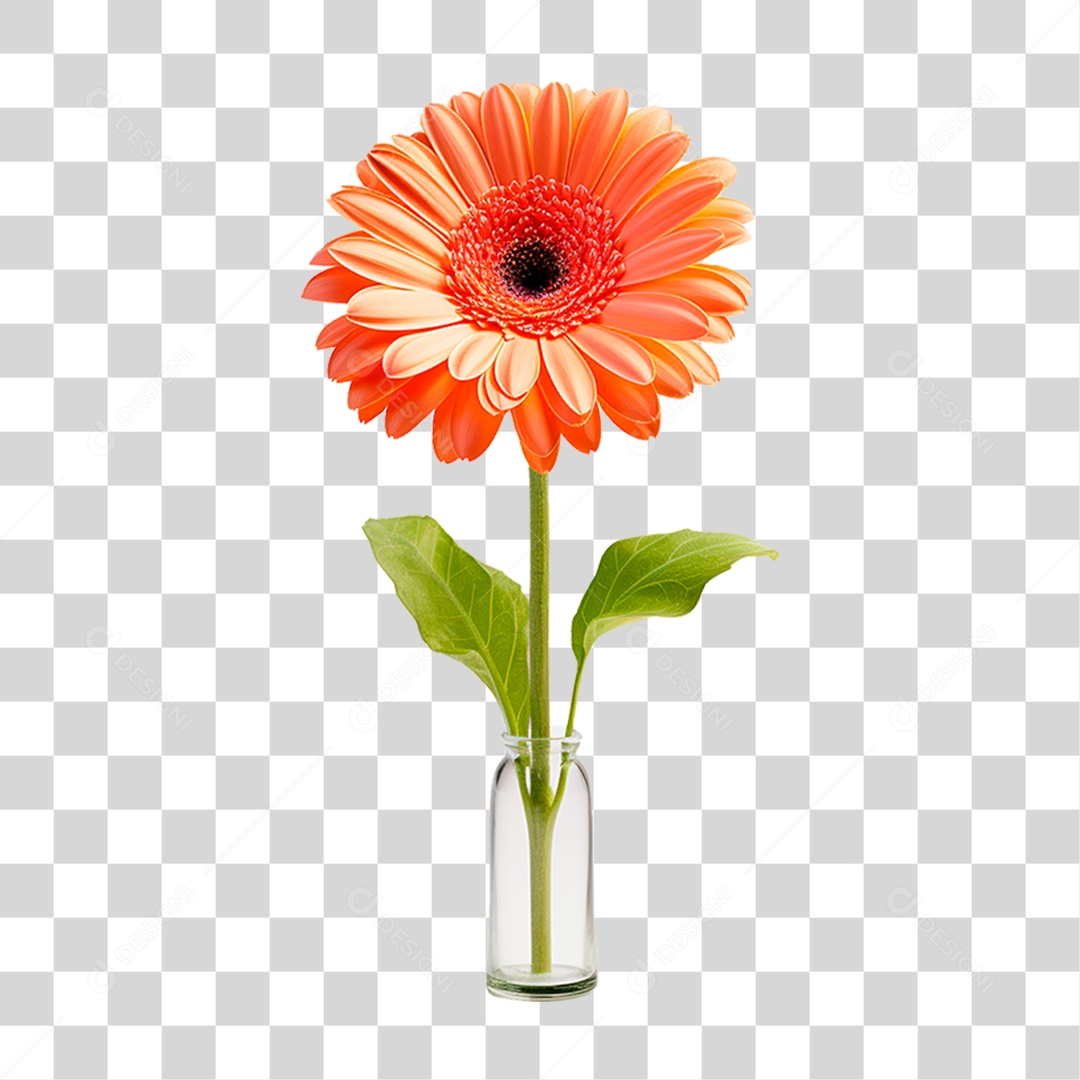 Flor Amarela PNG Transparente