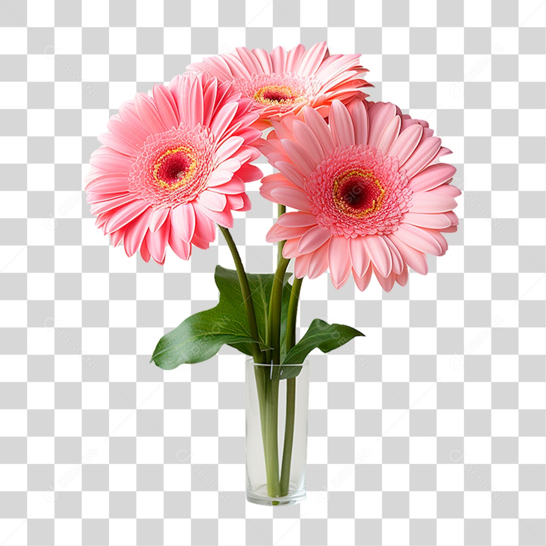 Flores Gérbera PNG Transparente