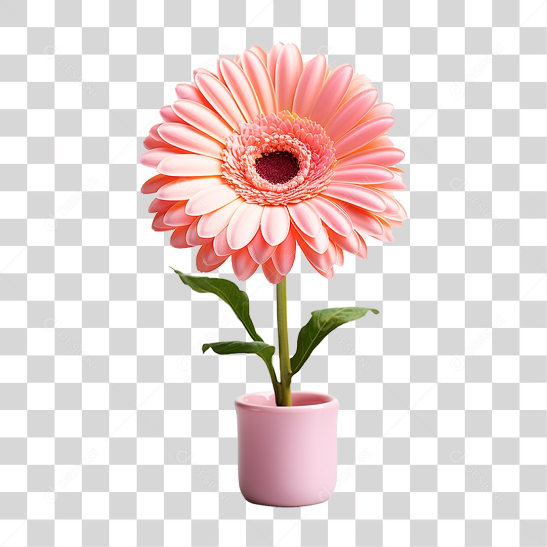 Flor Gérbera PNG Transparente