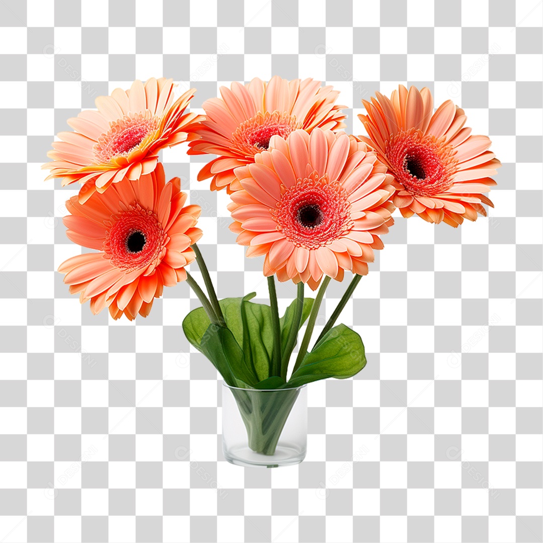 Flores Gérbera PNG Transparente