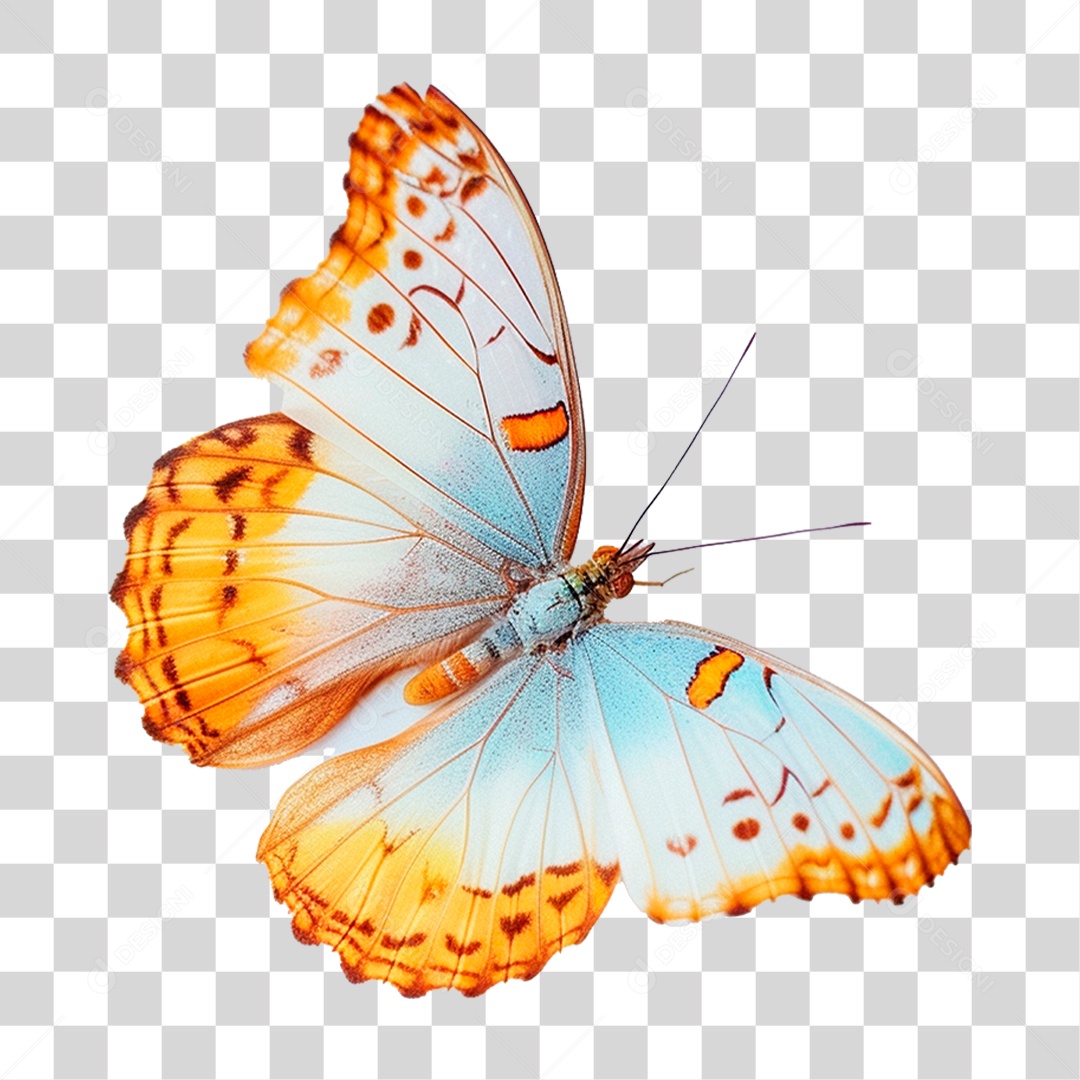 Borboleta Colorida PNG Transparente