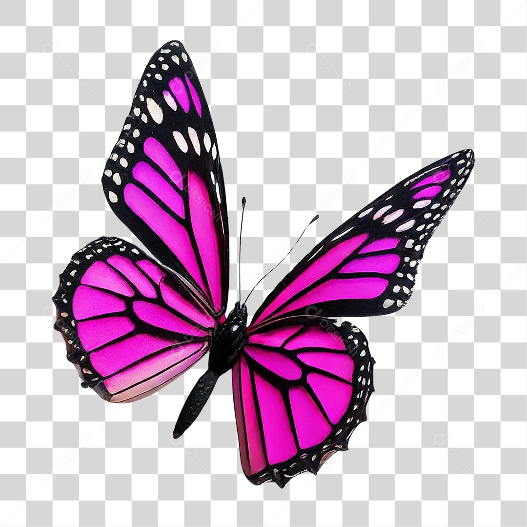 Borboleta Rosa Voando PNG Transparente