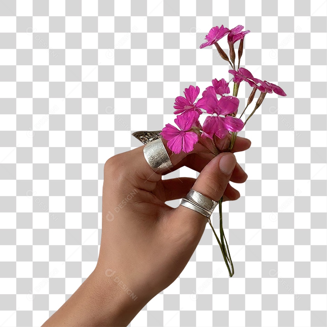 Mão Feminina Segurando Flor PNG Transparente