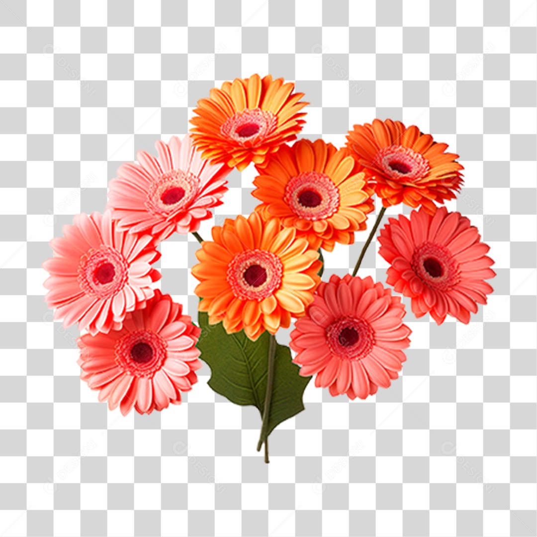 Flor Margarida PNG Transparente