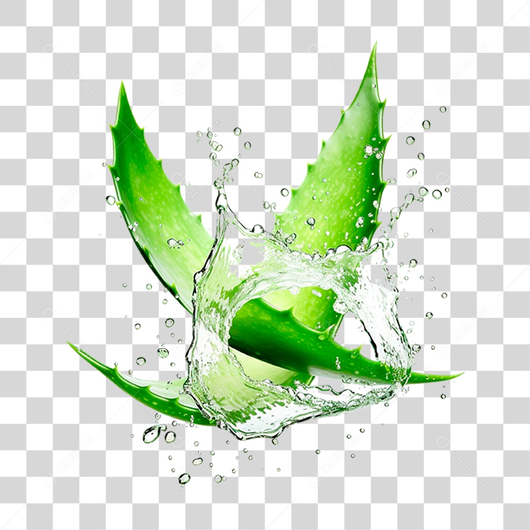 Folha de Babosa PNG Transparente