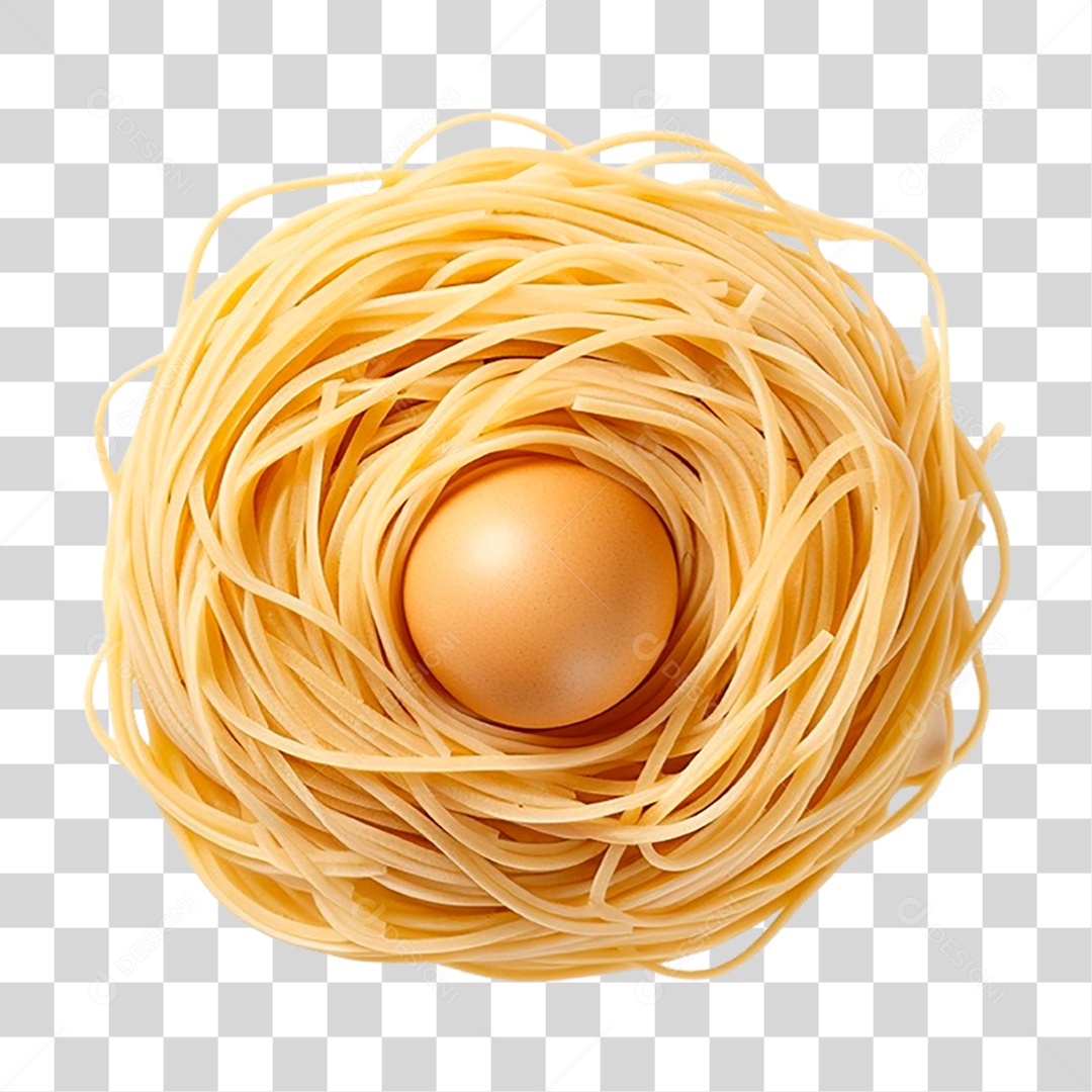 Ninho com Ovo PNG Transparente