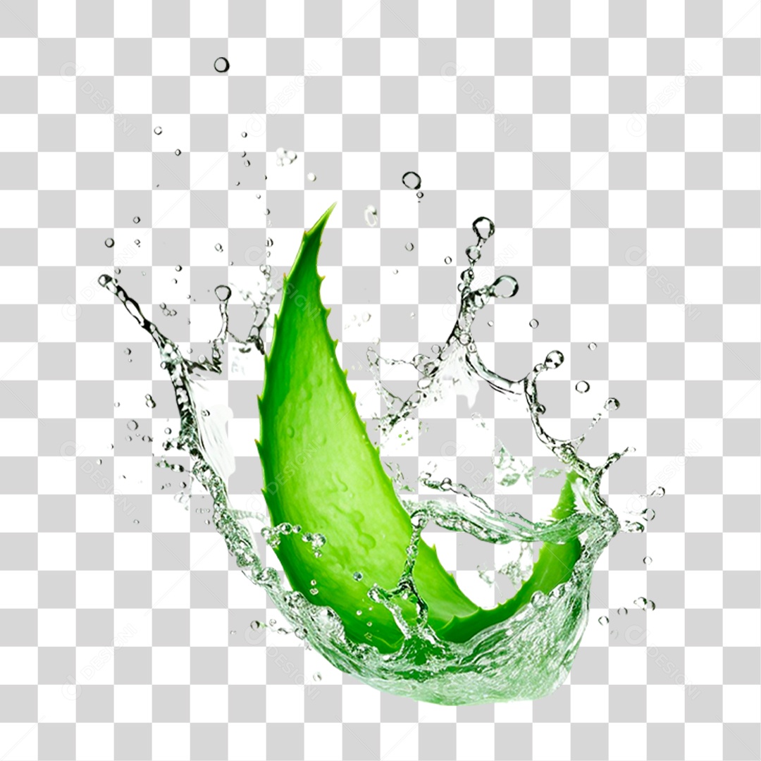 Folha de Babosa PNG Transparente