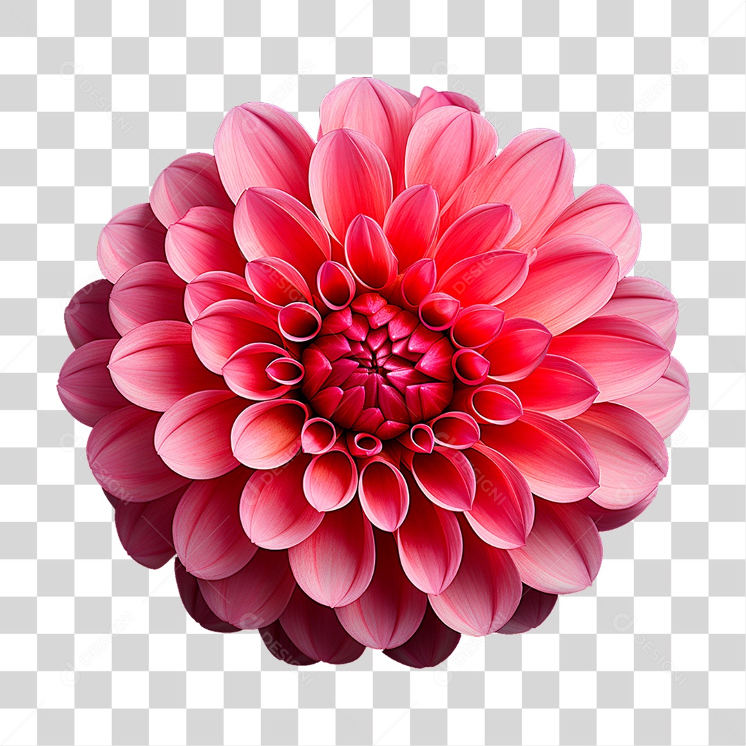 Flor Ornamental PNG Transparente