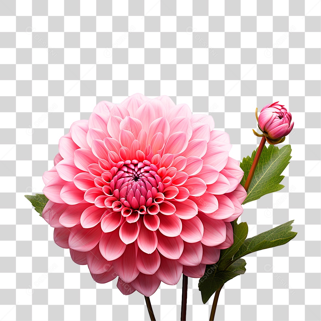 Flor Ornamental PNG Transparente