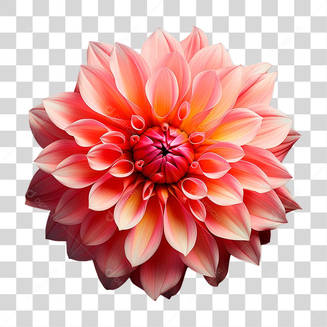 Flor Ornamental PNG Transparente