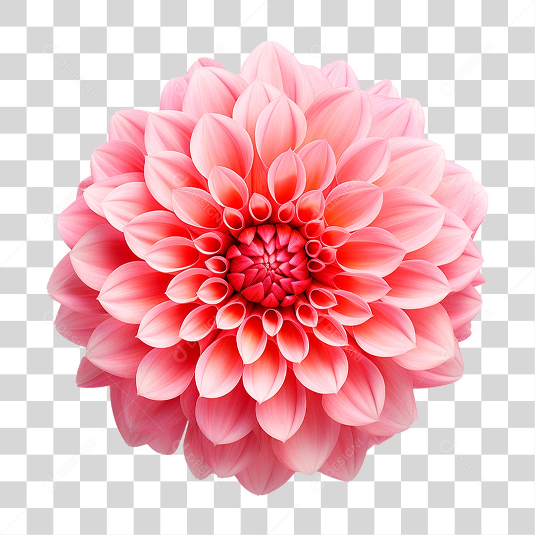 Flor Ornamental PNG Transparente