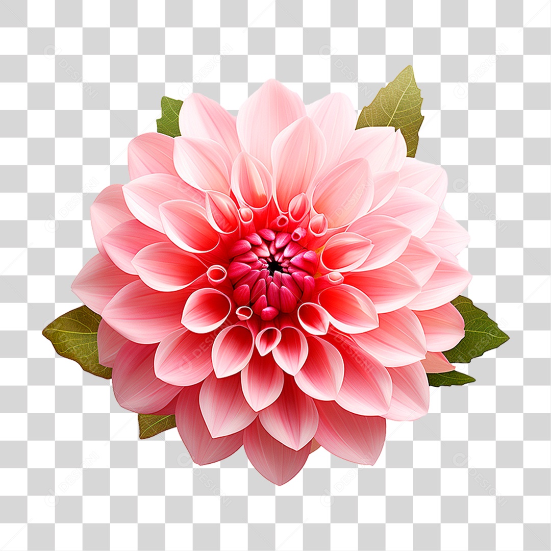 Flor Ornamental PNG Transparente