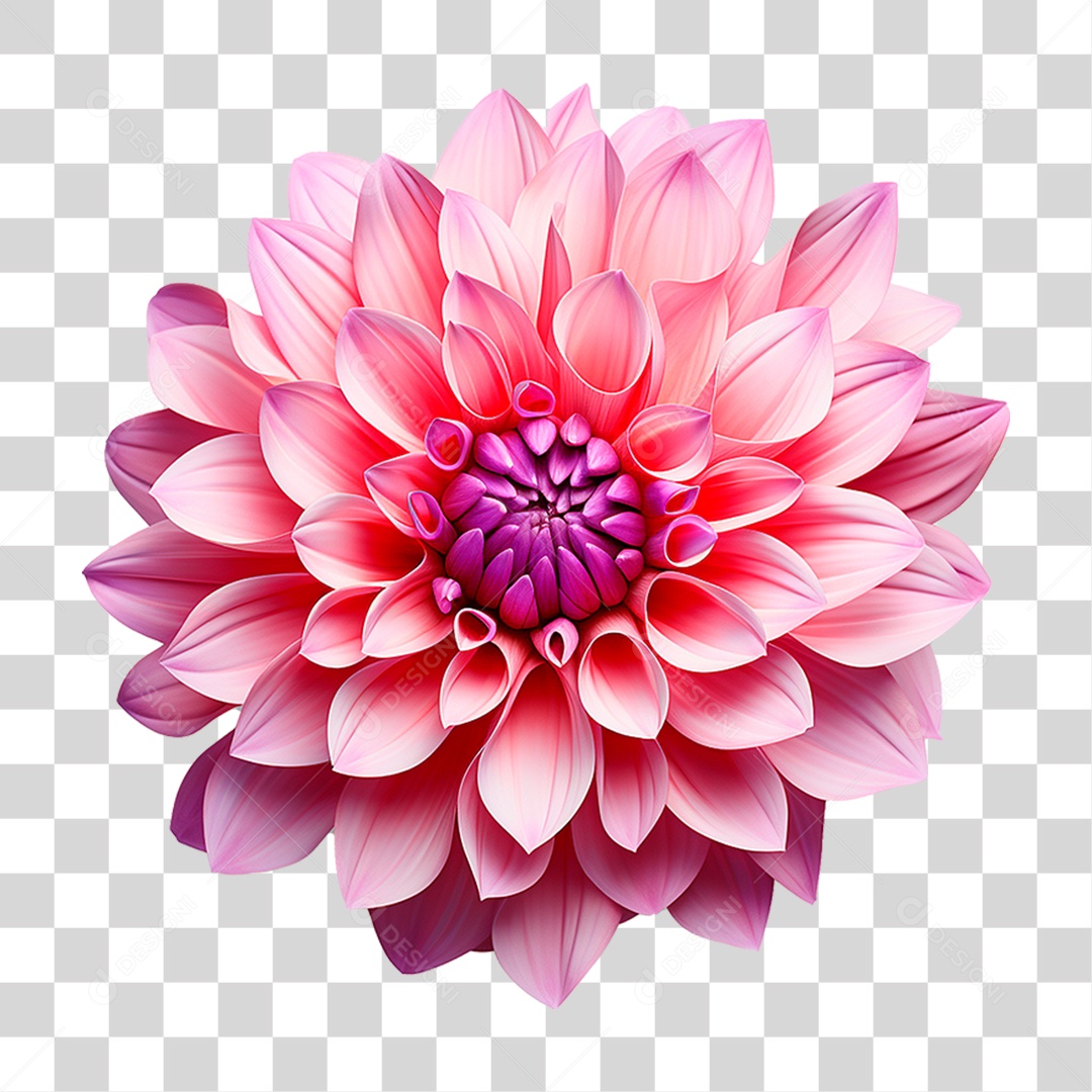 Flor Ornamental PNG Transparente