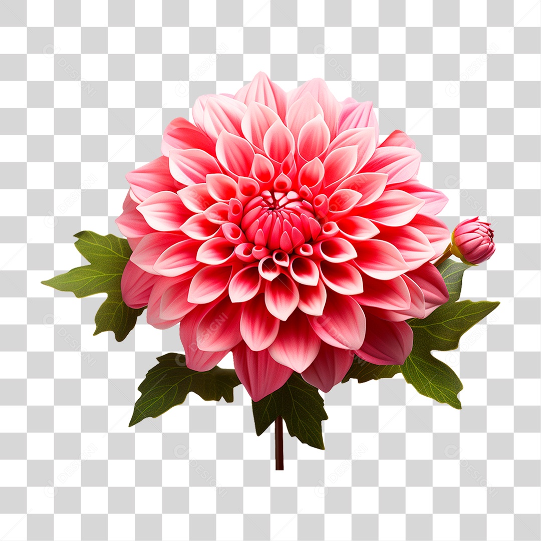 Flor Ornamental PNG Transparente