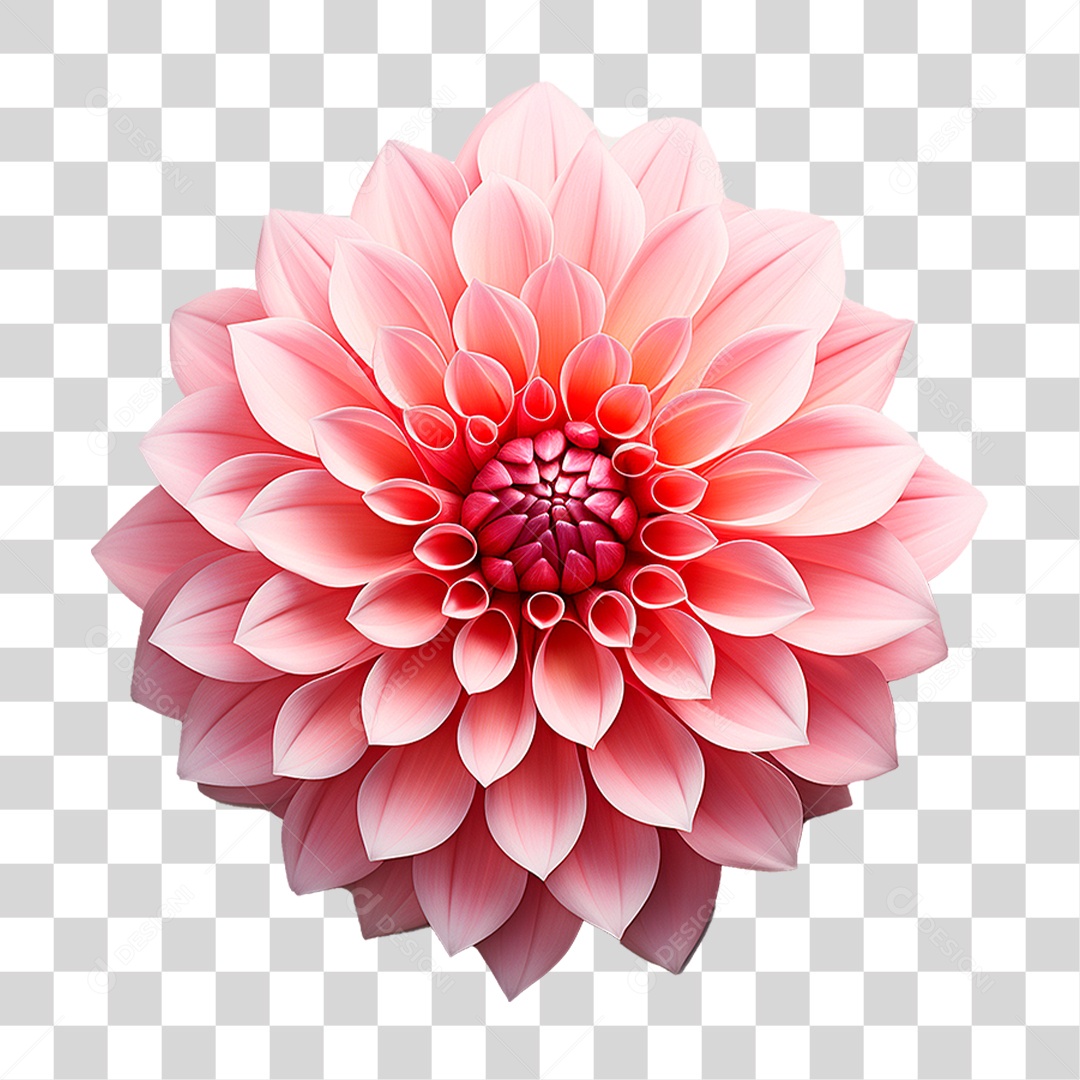 Flor Ornamental PNG Transparente