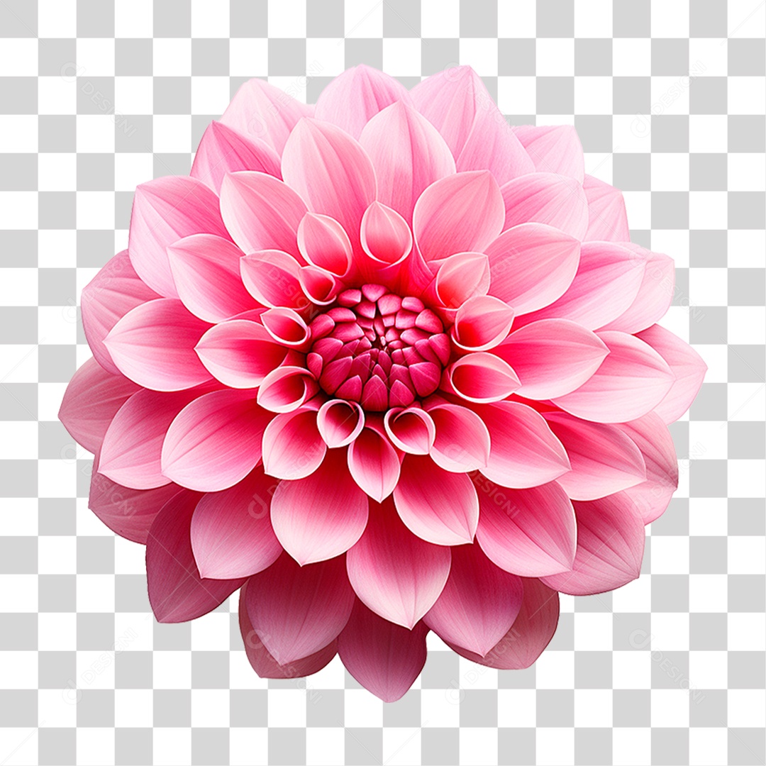 Flor Ornamental PNG Transparente