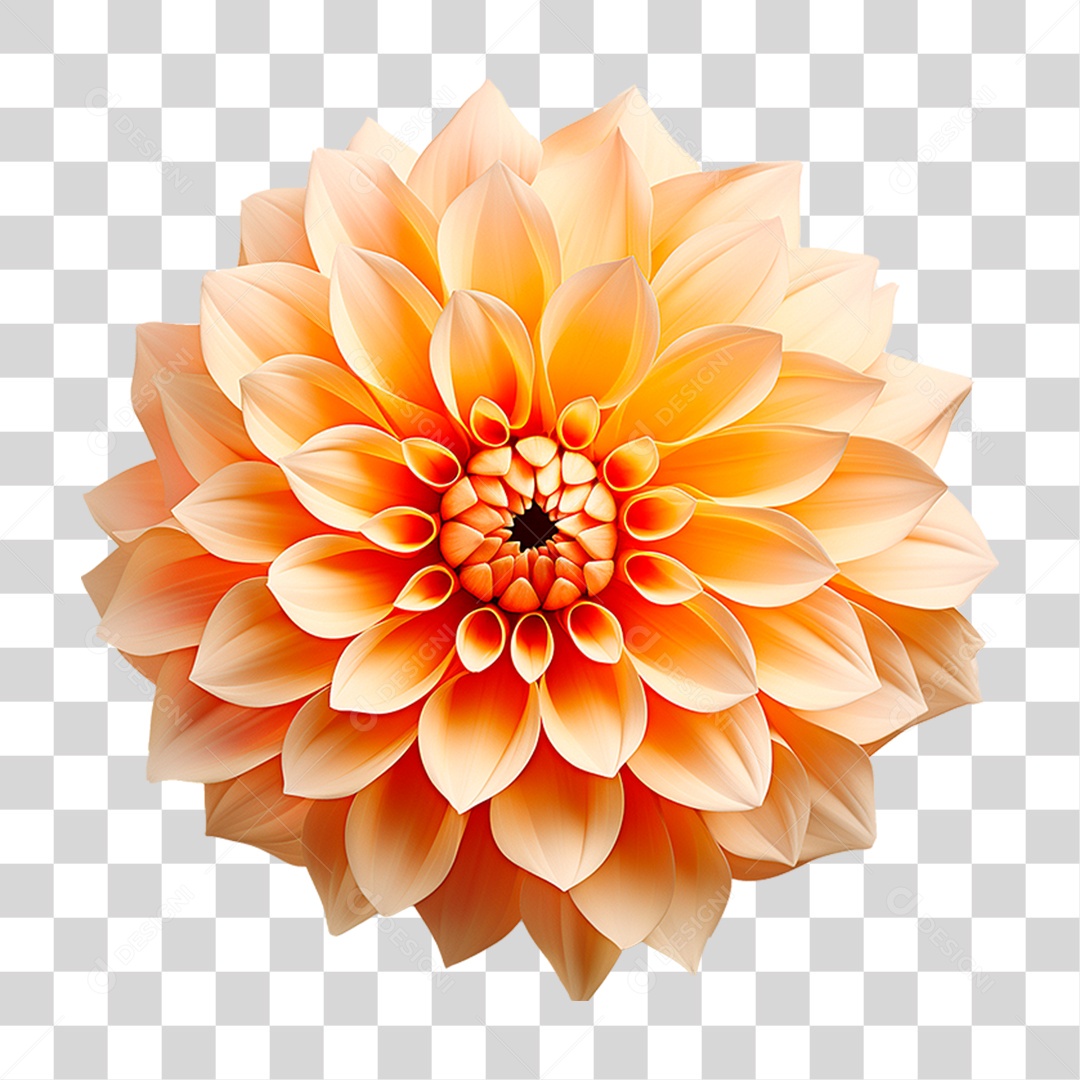 Flor Amarela PNG Transparente