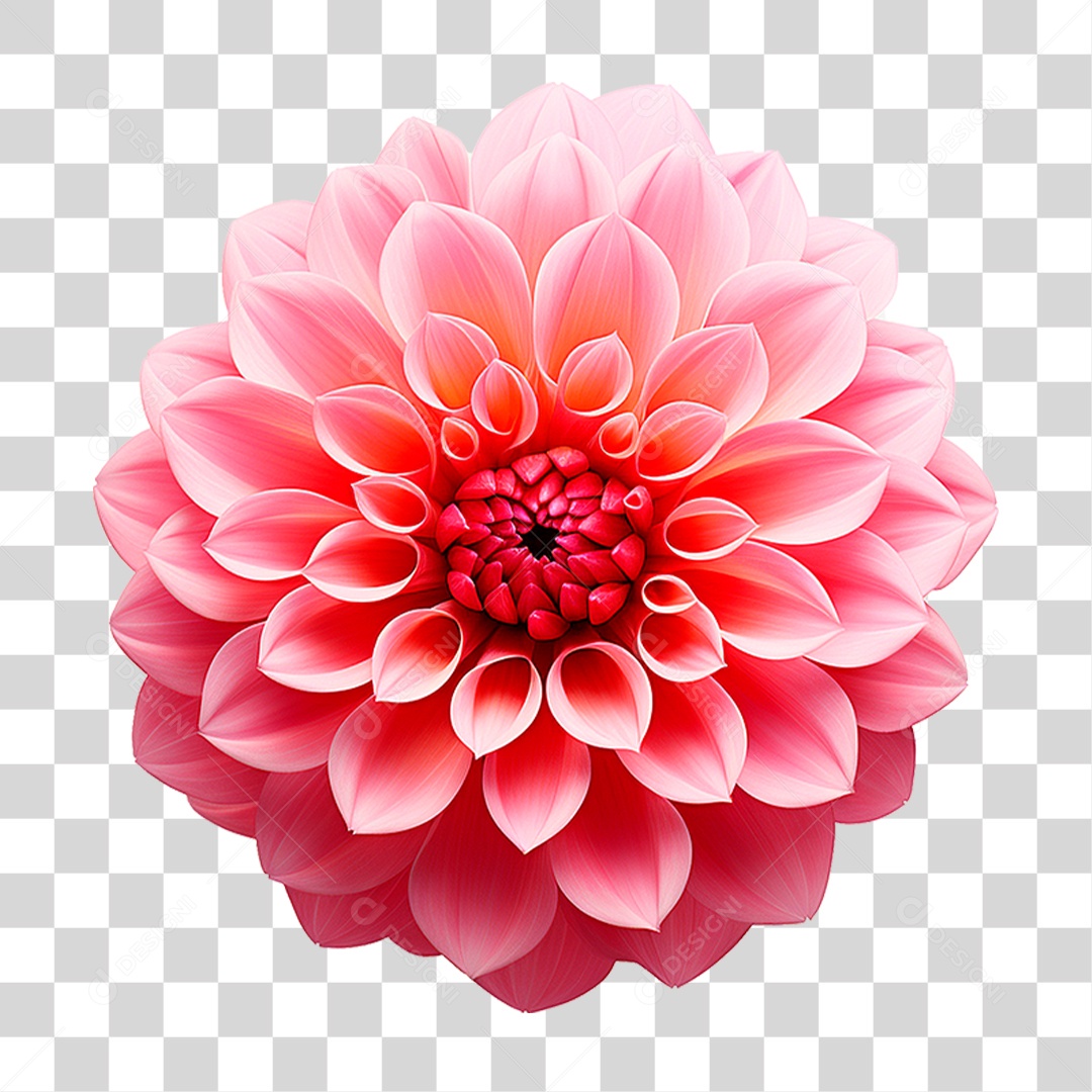 Flor Ornamental PNG Transparente