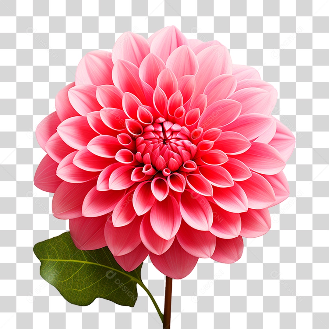 Flor Ornamental PNG Transparente