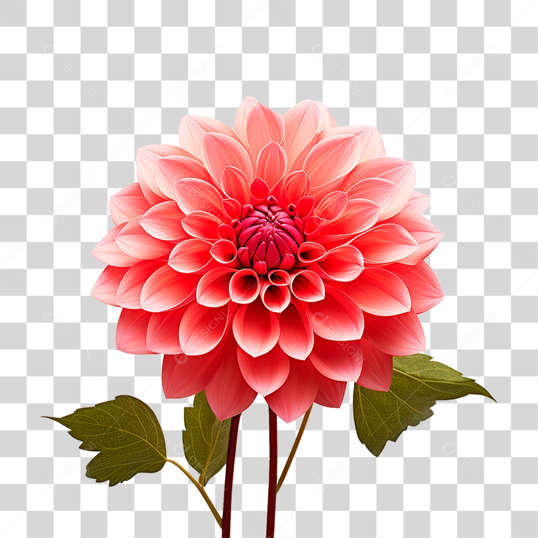 Flor Ornamental PNG Transparente