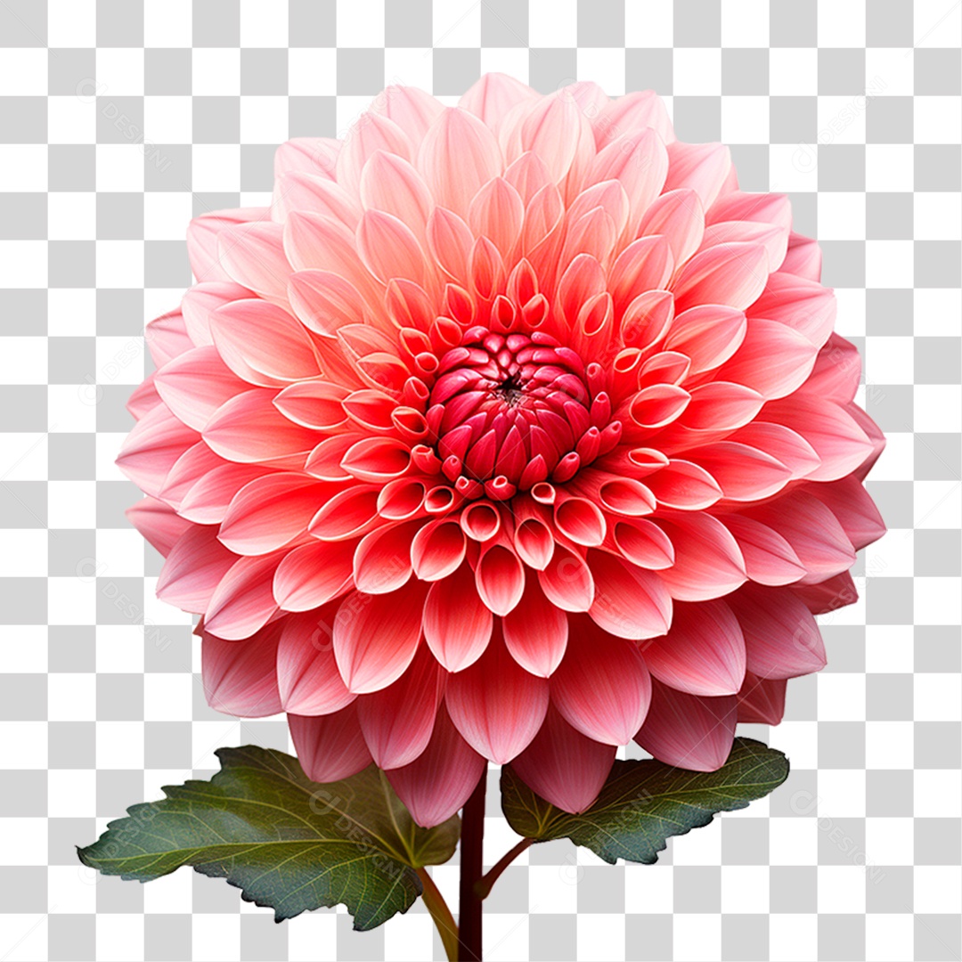 Flor Ornamental PNG Transparente