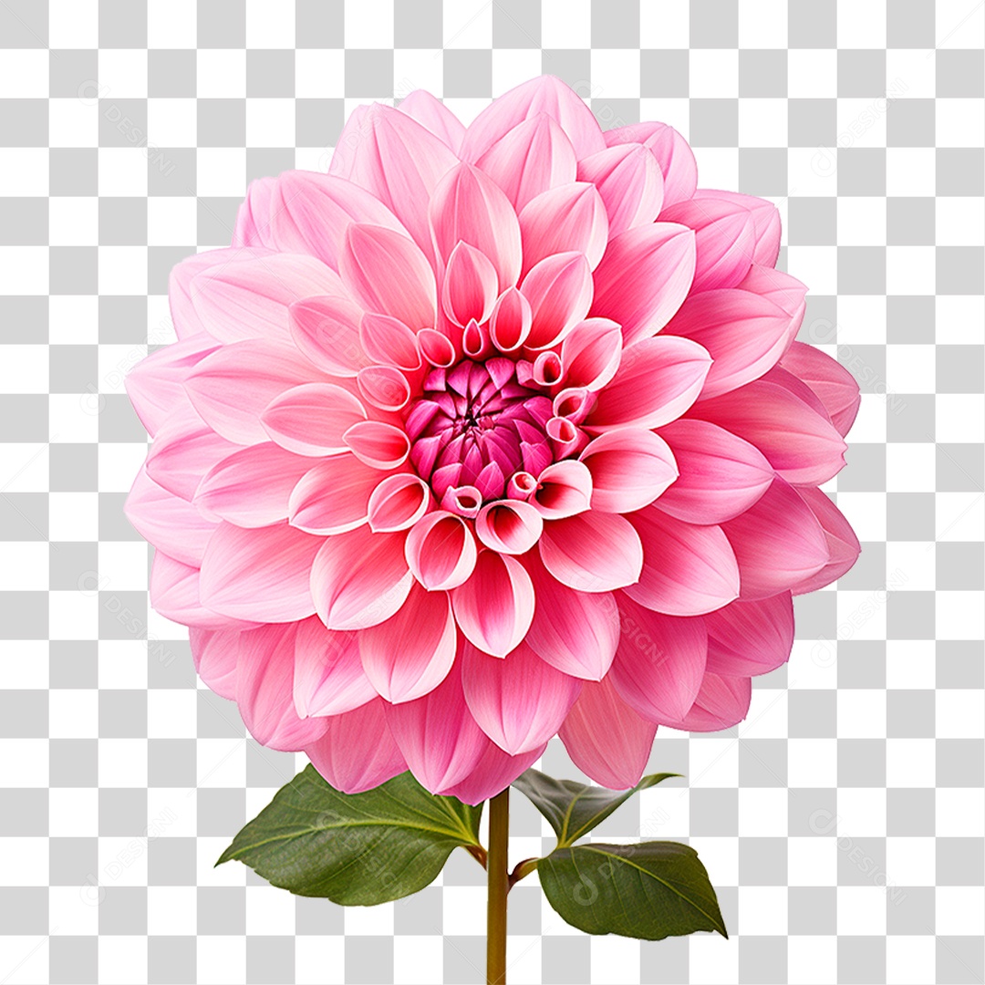 Flor Ornamental PNG Transparente