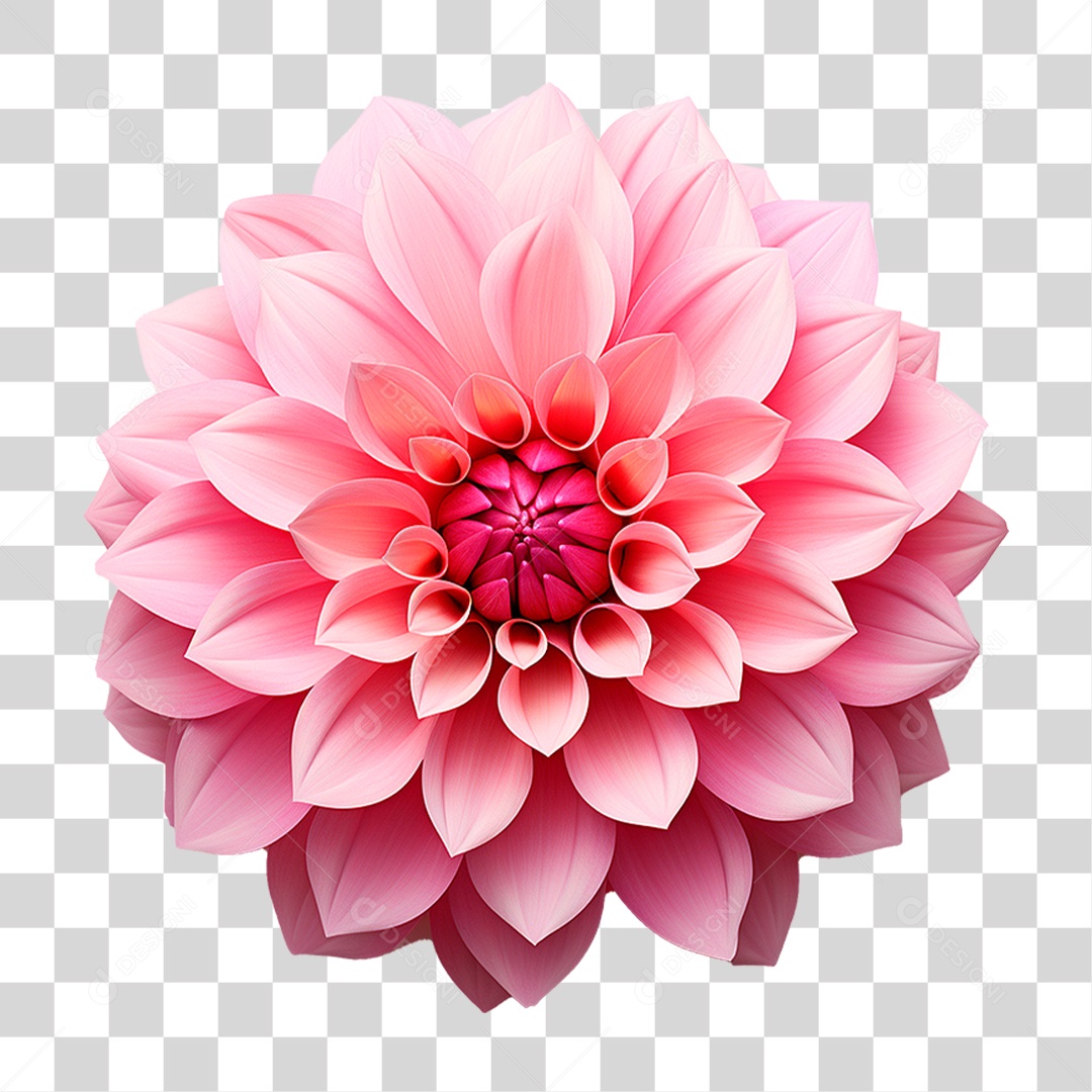 Flor Ornamental PNG Transparente