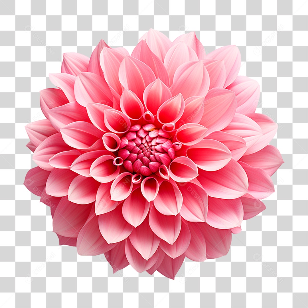 Flor Ornamental PNG Transparente