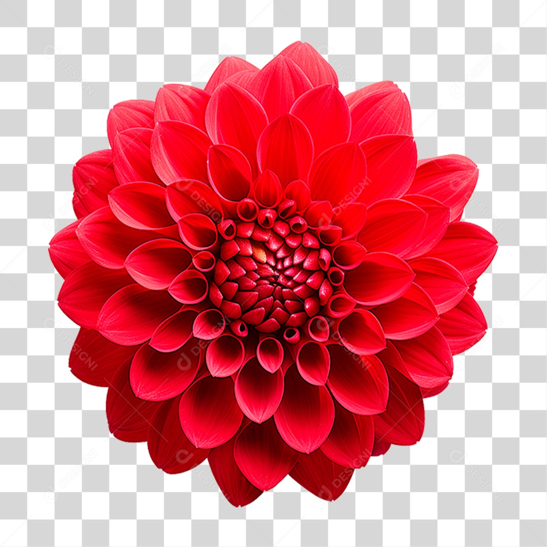 Flor Ornamental PNG Transparente