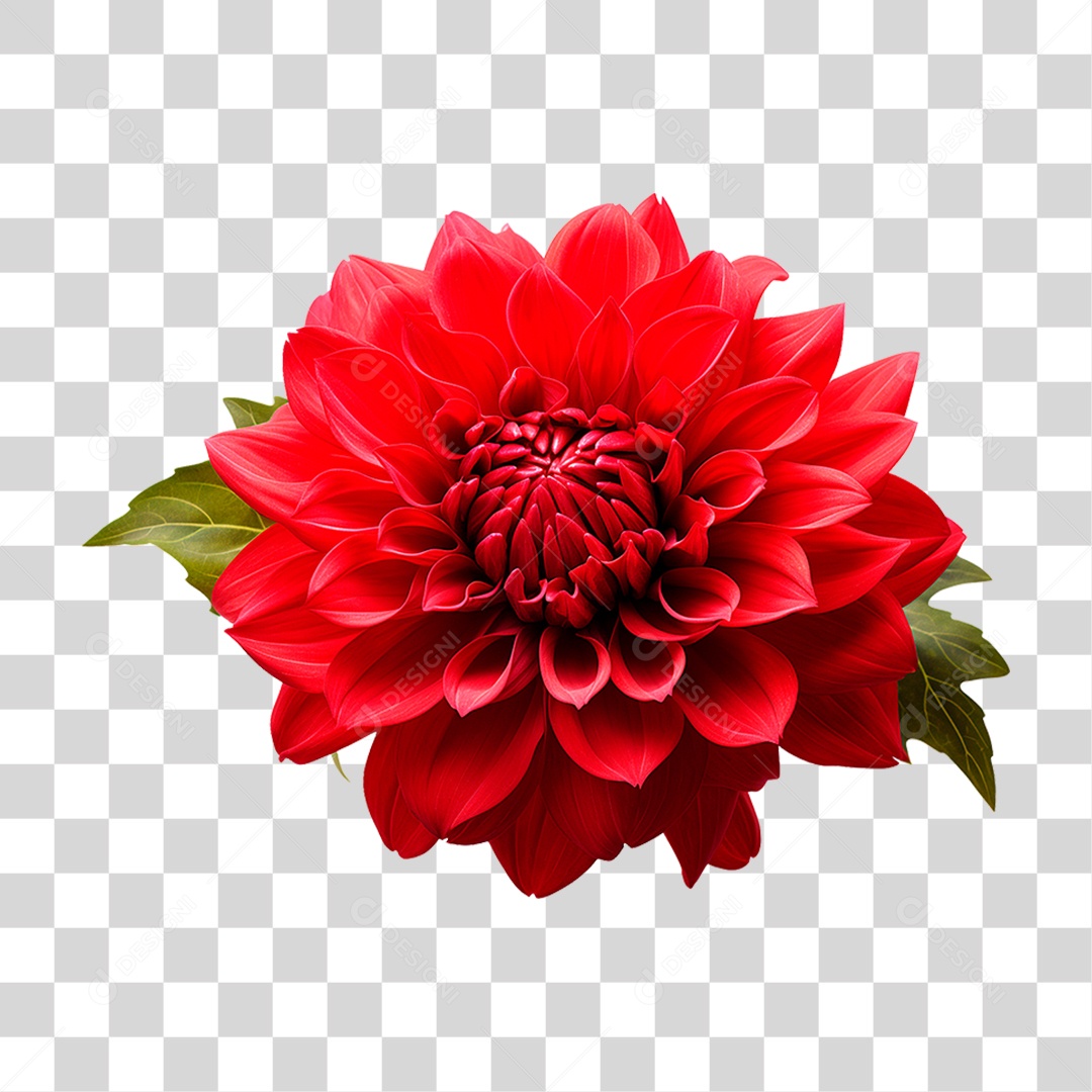 Flor Ornamental PNG Transparente