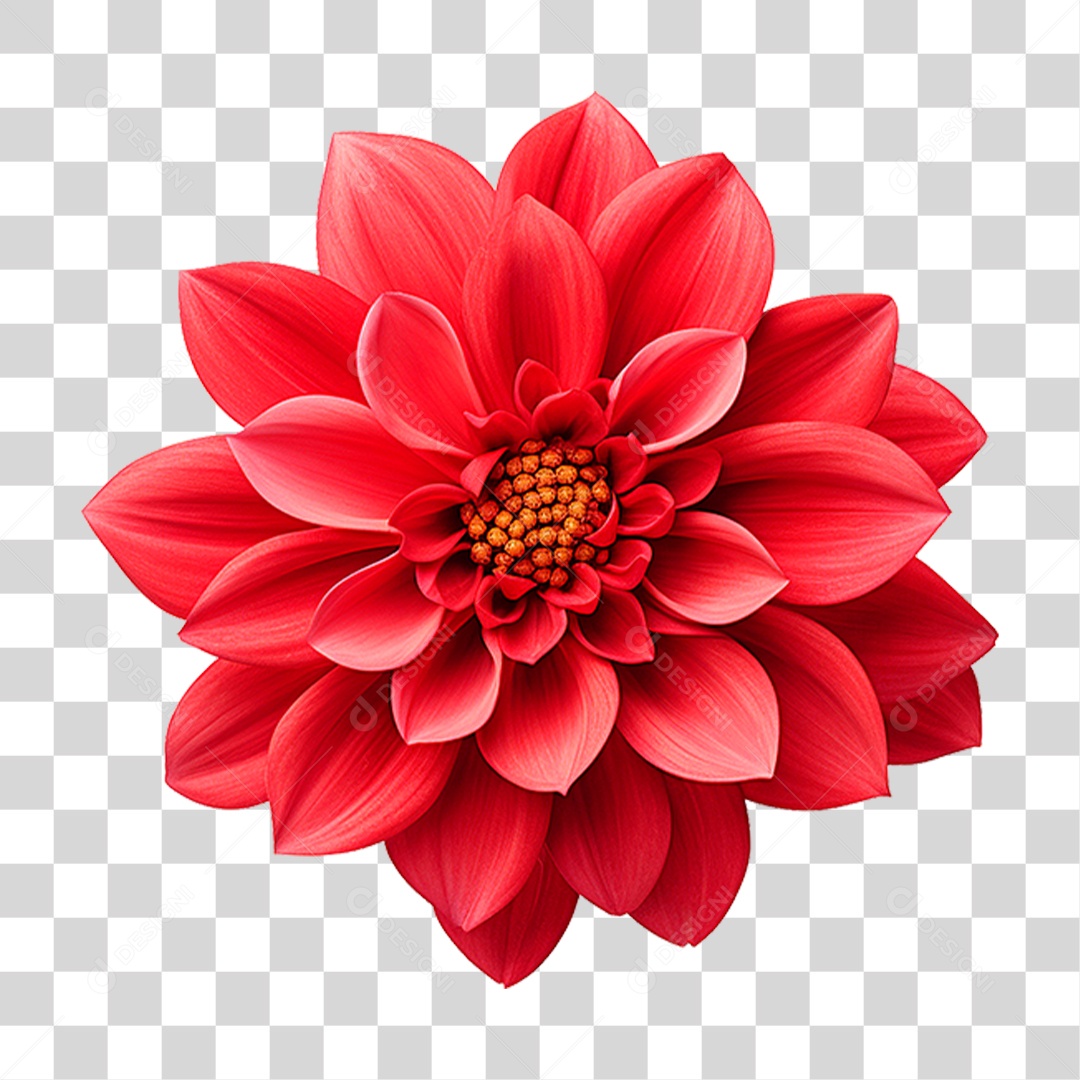 Flor Vermelha PNG Transparente