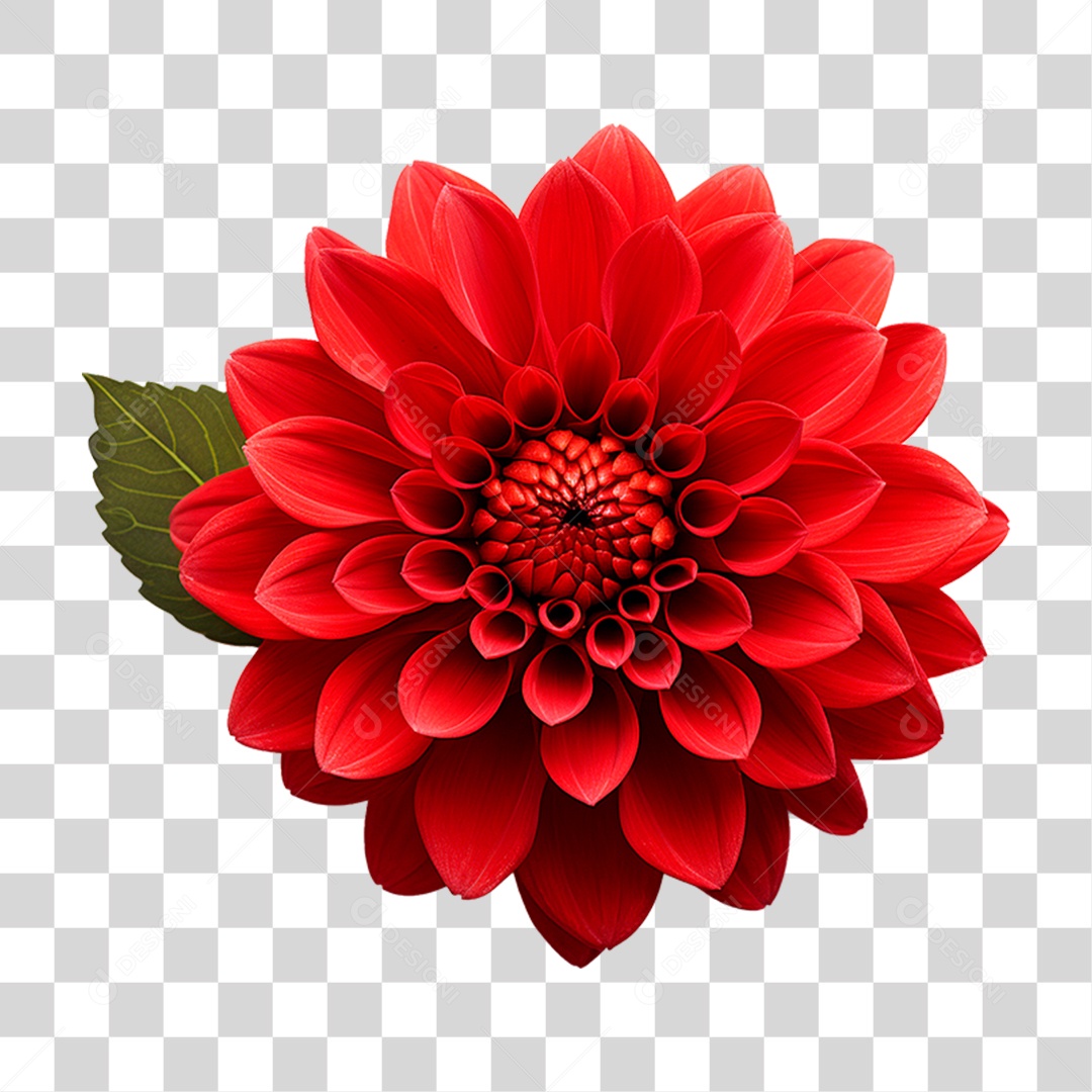 Flor Ornamental PNG Transparente