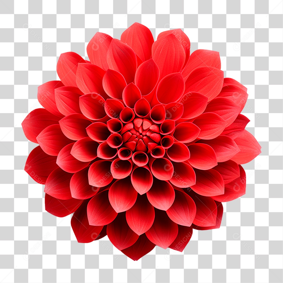 Flor Ornamental PNG Transparente