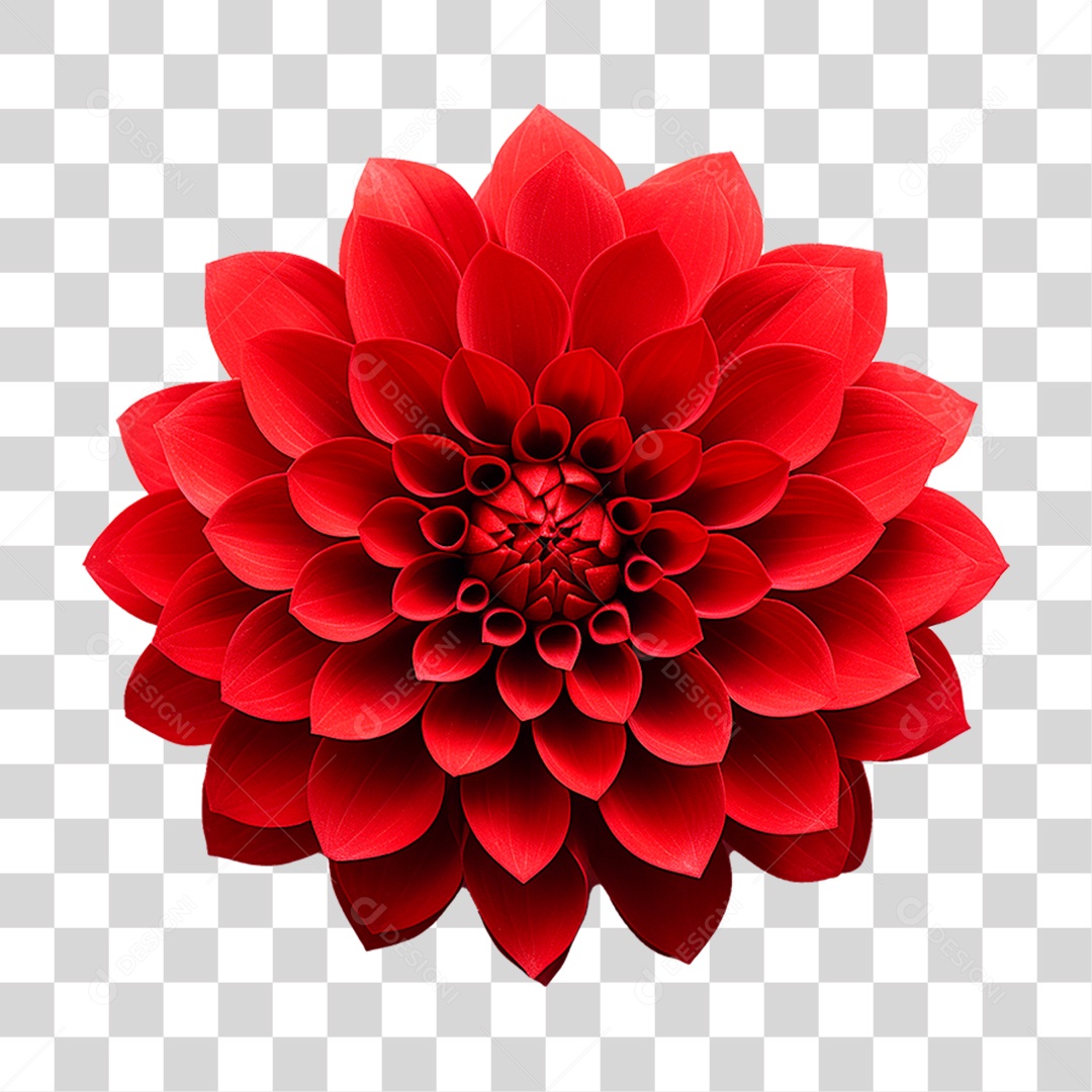 Flor Ornamental PNG Transparente