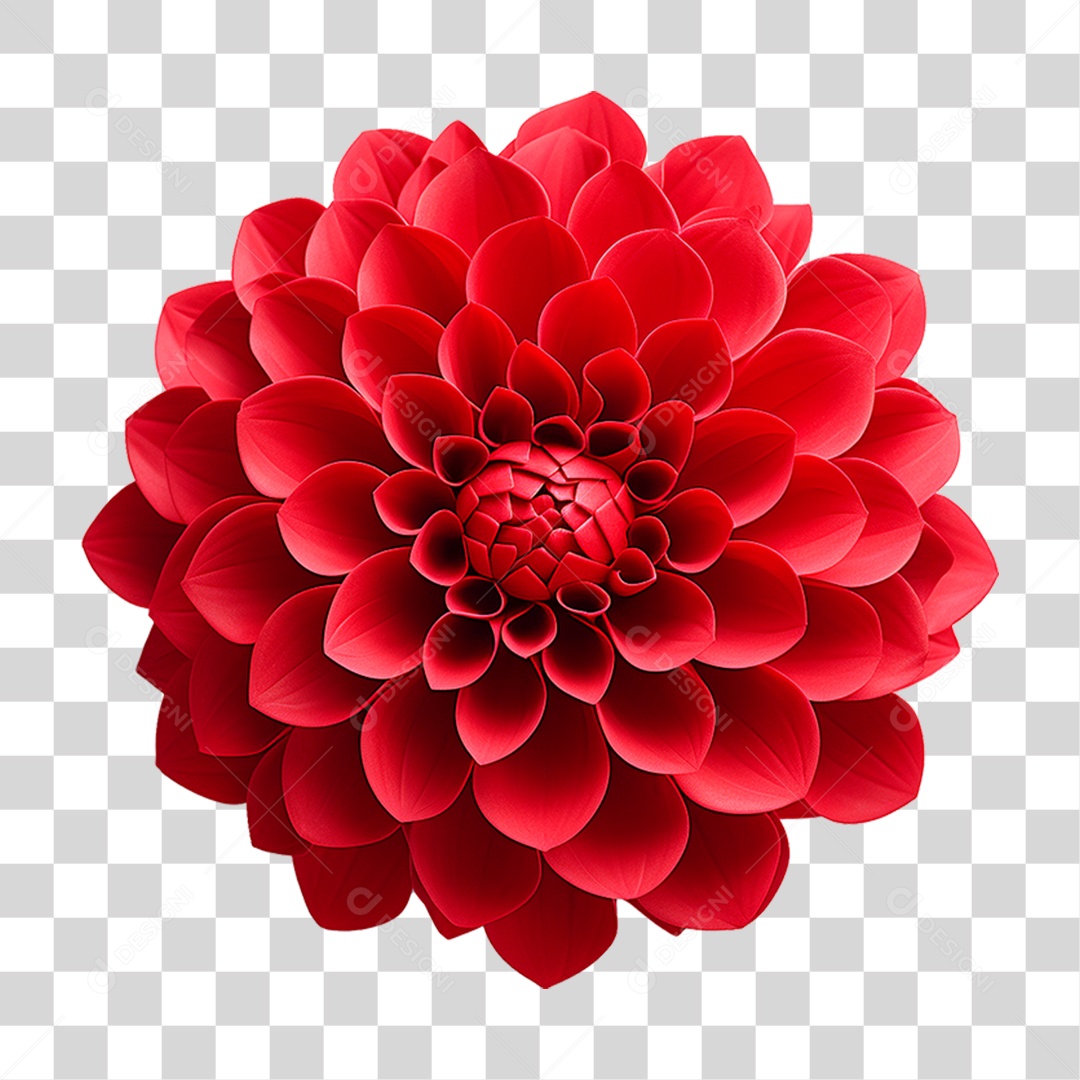 Flor Ornamental PNG Transparente